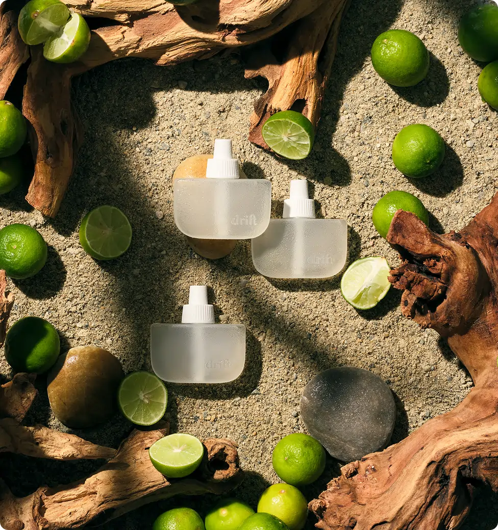 Limited Drop: Dad's Favorites